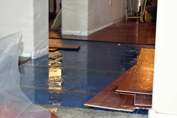 Professional Burst Pipe Cleanup technician working in Forestville, WI