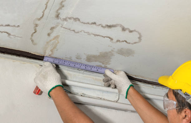 Reliable Burst Pipe Cleanup contractor in Forestville, WI by Water Damage Irwin